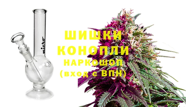 амф Алзамай