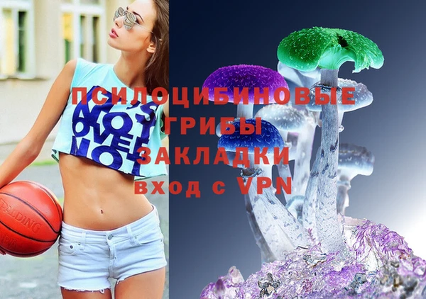 apvp Алексеевка